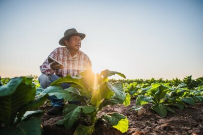 Sustainable Agriculture
